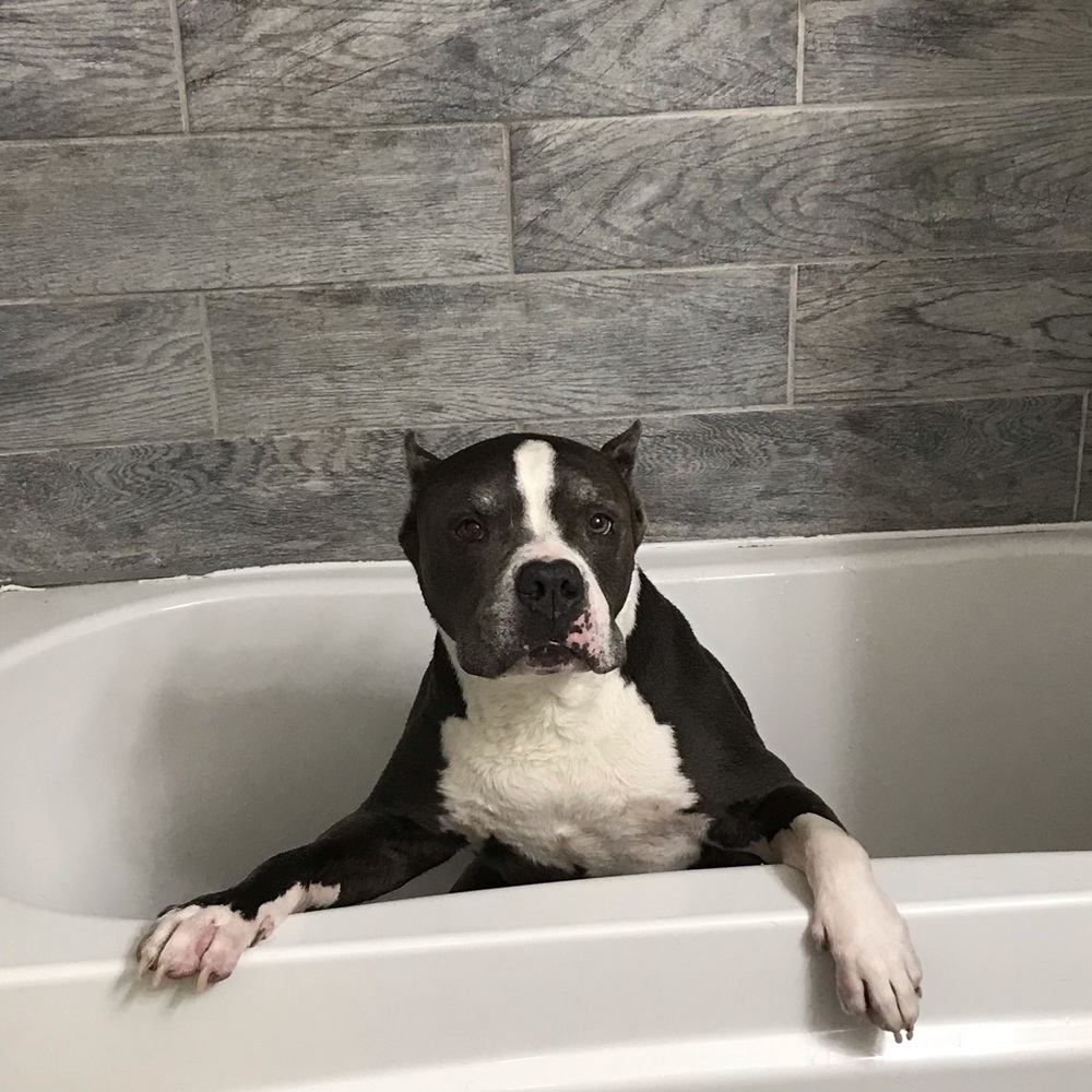 Meet your Posher, Luzelena